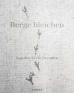 Sandro Livio Straube