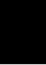 Sarah Schumann Schockcollagen 1954-1964