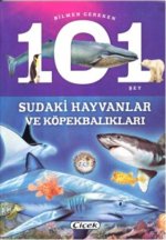 Bilmen Gereken 101 Sey - Sudaki Hayvanlar ve Köpekbaliklari