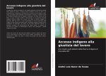 Accesso indigeno alla giustizia del lavoro