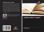 Caldaia solare a vapore