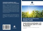 Inokulationsmethoden mit A. brasilense und Si in der Maiskultur