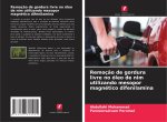 Remoç?o de gordura livre no óleo de nim utilizando mesopor magnético difenilamina