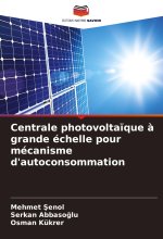 Centrale photovolta?que ? grande échelle pour mécanisme d'autoconsommation