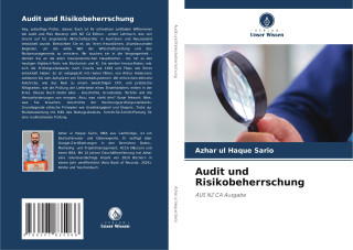 Audit und Risikobeherrschung