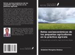 Retos socioeconómicos de los peque?os agricultores en la práctica agrícola