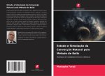 Estudo e Simulaç?o da Convecç?o Natural pelo Método de Boltz