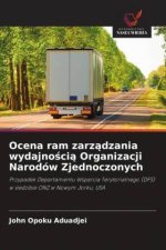 Ocena ram zarz?dzania wydajno?ci? Organizacji Narodów Zjednoczonych