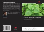 Coleus Aromaticus Benth