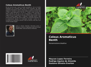 Coleus Aromaticus Benth