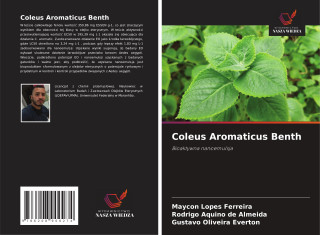 Coleus Aromaticus Benth