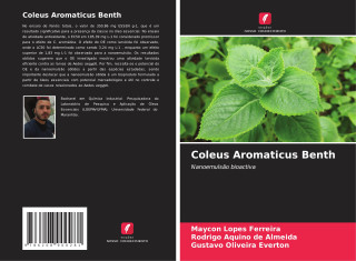 Coleus Aromaticus Benth