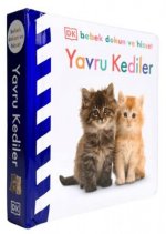 Yavru Kediler - DK Bebek Dokun ve Hisset