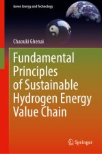 Fundamental Principles of Sustainable Hydrogen Energy Value Chain