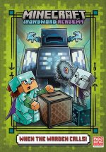 Minecraft Ironsword Academy Chapter Book #5