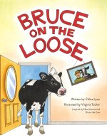 Bruce on the Loose