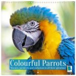 Colourful Parrots (Wall Calendar 2026 12 × 12 Inch) CALVENDO 12 Month Wall Calendar