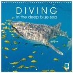 Diving in the deep blue sea (Wall Calendar 2026 12 × 12 Inch) CALVENDO 12 Month Wall Calendar