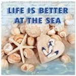 Life is better at the sea (Wall Calendar 2026 12 × 12 Inch) CALVENDO 12 Month Wall Calendar