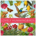 Lovely hummingbirds (Wall Calendar 2026 12 × 12 Inch) CALVENDO 12 Month Wall Calendar
