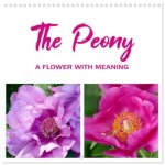 The peony a flower with meaning (Wall Calendar 2026 12 × 12 Inch) CALVENDO 12 Month Wall Calendar