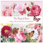 The Magical Roses Collages with roses from Pierre Joseph Redouté (Wall Calendar 2026 12 × 12 Inch) CALVENDO 12 Month Wall Calendar