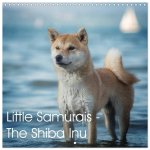 Little Samurais - The Shiba Inu (Wall Calendar 2026 12 × 12 Inch) CALVENDO 12 Month Wall Calendar