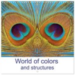 World of colors and structures (Wall Calendar 2026 12 × 12 Inch) CALVENDO 12 Month Wall Calendar