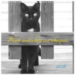 Black and white cat whispers (Wall Calendar 2026 12 × 12 Inch) CALVENDO 12 Month Wall Calendar