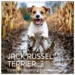 Jack Russel Terrier - Confident and Fearless Fun All Year (Wall Calendar 2026 12 × 12 Inch) CALVENDO 12 Month Wall Calendar