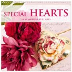 Special hearts in wonderful still lifes (Wall Calendar 2026 12 × 12 Inch) CALVENDO 12 Month Wall Calendar
