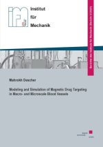 Modeling and Simulation of Magnetic Drug Targeting in Macro- and Microscale Blood Vessels
