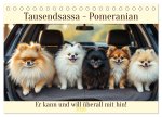 Tausendsassa - Pomeranian (Tischkalender 2026 DIN A5 quer), CALVENDO Monatskalender
