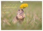 Zauberhafte Ziesel (Wandkalender 2026 DIN A4 quer), CALVENDO Monatskalender
