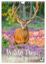 Wilde Tiere: Zuhause in Wald und Flur (Wandkalender 2026 DIN A4 hoch), CALVENDO Monatskalender