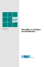 DVS-Studie 