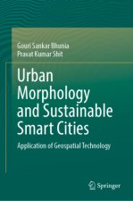 Urban Morphology and Sustainable Smart Cities
