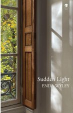 Sudden Light
