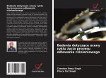 Badania dotyczace oceny cyklu zycia procesu odlewania cisnieniowego