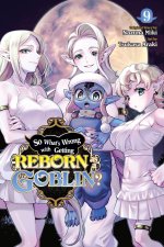 SO WHATS WRONG WITH GETTING REBORN V09