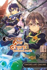 SWORD ART ONLINE ORDINAL SCALE V03