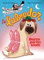 Les amis de Chien Pourri