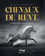 Chevaux de rêves NED