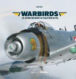 Wardbirds - Les avions militaires de collection en vol