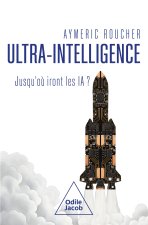 Où vont les intelligences artificielles ?