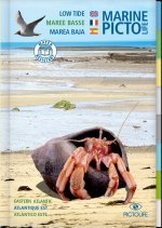 PICTOLIFE MAREE BASSE