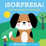 Sorpresa Veo Animales De CompaŃIa