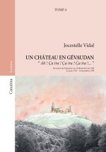 UN CHATEAU EN GEVAUDAN