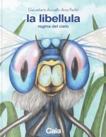 libellula. Regina del cielo