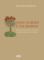 Ogni albero è un mondo. Perché non vanno tagliati i grandi alberi in natura